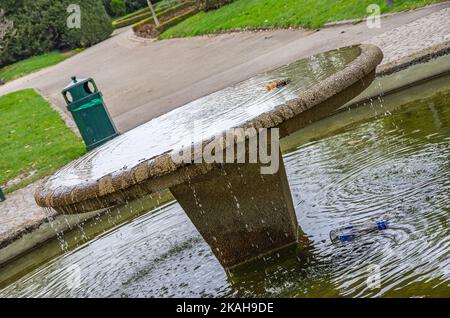 Fontaine de source défigurée dans le parc de la ville de Fribourg im Breisgau, Bade-Wurtemberg, Allemagne. Banque D'Images