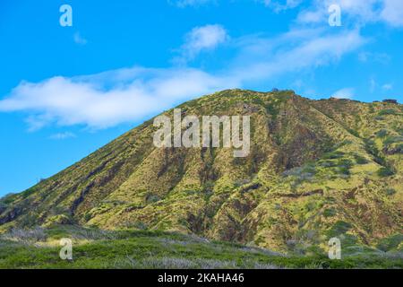 Photos de la jungle d'Oahu - Hawaï. Images d'Oahu - l'État d'Hawaï. Banque D'Images