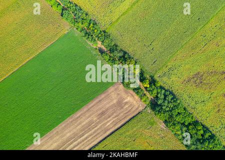 Vue aérienne des champs agricoles. Paysage aérien sur le maïs, les tournesols, le soja et les champs avec des balles de paille, des arbres Banque D'Images