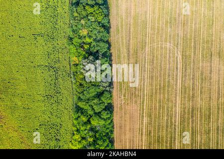 Vue aérienne des champs agricoles. Paysage aérien sur le maïs, les tournesols, le soja et les champs avec des balles de paille, des arbres Banque D'Images