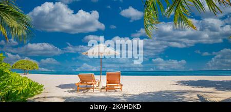 Magnifique île tropicale, deux chaises longues, un palmier sur sable blanc vue sur la mer horizon. Vacances de luxe, soleil de la côte inspirant Banque D'Images