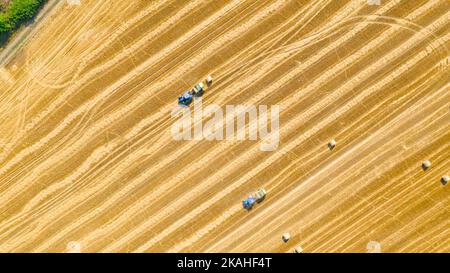 Vue de dessus sur deux tracteurs lorsqu'ils tirent une ramasseuse-presse à balles rondes, machines qui roulent la paille et éjectent une balle ronde emballée sur un champ agricole Banque D'Images