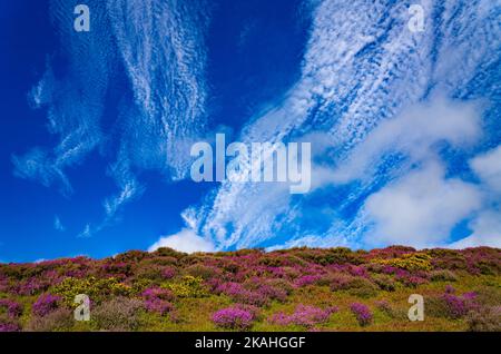 Vue de Penycloddiau à Moel Famau et Moel Arthur Banque D'Images