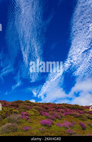 Vue de Penycloddiau à Moel Famau et Moel Arthur Banque D'Images