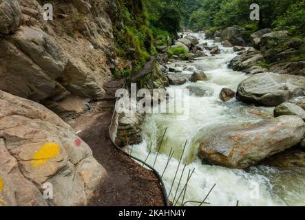 Rivière coulant ( Barati Nala ) le long de Shrikhand Mahadev kailash Yatra sentier à travers la forêt dense et les montagnes. Himachal Pradesh Inde. Banque D'Images