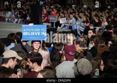 Le sénateur Bernie Sanders, qui soutient le candidat démocrate à la présidence, signe un rassemblement sur 22 février 2016 à l'Université du Massachusetts à Amherst, Massachusetts. Sanders fait campagne en vue des primaires du Super Tuesday sur 1 mars lorsque 11 États voteront. Banque D'Images