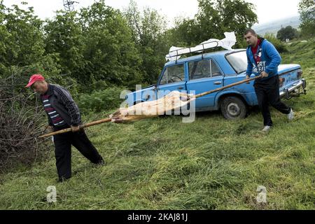 Les habitants du village de Patalenitsa, à 120 km de Sofia, Bulgarie, torréfient des agneaux entiers sur une broche le jour de Saint-Georges. Cette tradition a lieu chaque année sur 6 mai, depuis plus de 60 ans maintenant. (Photo de Hristo Vladev/NurPhoto) Banque D'Images