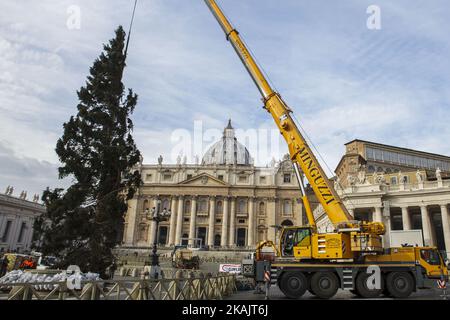 L'arbre de Noël du Vatican, en provenance de la région du Trentin, est soulevé sur la place Saint-Pierre dans la Cité du Vatican, au Vatican, sur 24 novembre 2016. L'arbre de cette année, qui mesure 25 mètres de haut, a été donné au Pape François de la région italienne de Trentin.(photo de Giuseppe Ciccia/NurPhoto) *** Veuillez utiliser le crédit du champ de crédit *** Banque D'Images