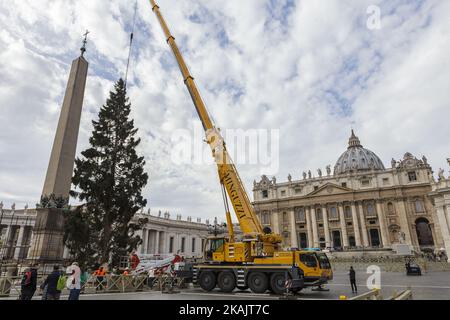 L'arbre de Noël du Vatican, en provenance de la région du Trentin, est soulevé sur la place Saint-Pierre dans la Cité du Vatican, au Vatican, sur 24 novembre 2016. L'arbre de cette année, qui mesure 25 mètres de haut, a été donné au Pape François de la région italienne de Trentin.(photo de Giuseppe Ciccia/NurPhoto) *** Veuillez utiliser le crédit du champ de crédit *** Banque D'Images