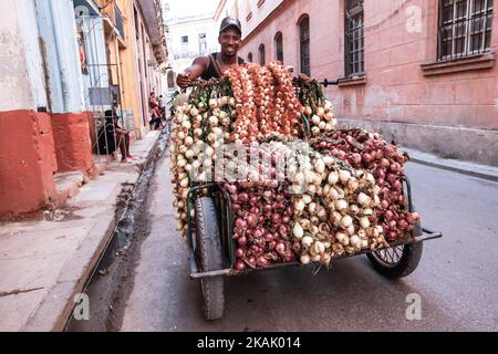 Un vendeur local vend des fruits et des légumes dans la rue. Une scène typique de la vie quotidienne dans le centre de la Havane. Depuis le 24th mai, le gouvernement cubain a légalisé les petites et moyennes entreprises privées dans un mouvement qui pourrait développer de manière significative l'entreprise privée dans l'un des derniers pays communistes du monde. Ces réformes ont permis à environ un demi-million de Cubains de commencer à travailler dans le secteur privé. Cependant, le processus a été très lent et marqué par des inversions périodiques. Le dimanche 26 novembre 2016, à la Havane, Cuba. Photo par Artur Widak *** Veuillez utiliser le crédit du champ de crédit *** Banque D'Images