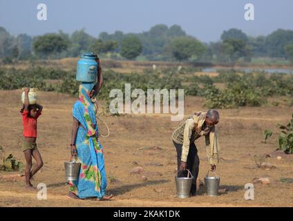 Dans cette photo prise sur 15 décembre,2016,les membres d'une famille autochtone de la communauté 'Kol' transportent de l'eau potable dans des conteneurs en acier et en plastique, en marchant vers ses abris temporaires, dans le village de Ralaiora, à environ 80 km d'Allahabad. 'Kol' est l'une des rares communautés autochtones du centre de l'inde. Environ 40 familles avec 200 refuges dans ce village isolé. Les villageois obtiennent leur eau potable d'un puits, à 3 km de leurs abris, car la crise de l'eau potable est le principal et le problème de base dans cette région éloignée. Les hommes gagnent leur vie en travaillant asa base quotidienne labeurs et repos Banque D'Images