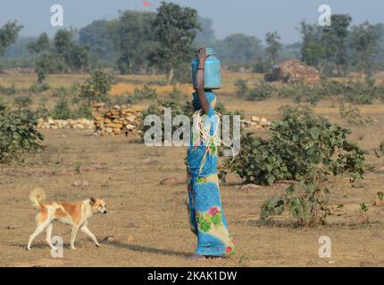 Dans cette photo prise sur 15 décembre,2016,une femme indienne d'une communauté autochtone 'Kol' transporte de l'eau potable dans des conteneurs en acier et en plastique, marchant vers ses abris temporaires, dans le village de Ralaiora, à environ 80 km d'Allahabad. 'Kol' est l'une des rares communautés autochtones du centre de l'inde. Environ 40 familles avec 200 refuges dans ce village isolé. Les villageois obtiennent leur eau potable d'un puits, à 3 km de leurs abris, car la crise de l'eau potable est le principal et le problème de base dans cette région éloignée. Les hommes gagnent leur vie en travaillant asa base quotidienne labeurs et repos Banque D'Images