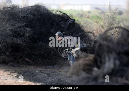 Un fils palestinien Ashraf Hillis travaille à la production d'un pigment noir destiné à être utilisé dans les matériaux de construction par la combustion de pneus de véhicules, dans la zone tampon à l'est de la ville de Gaza, le 25 janvier 2017. (Photo de Majdi Fathi/NurPhoto) *** Veuillez utiliser le crédit du champ de crédit *** Banque D'Images