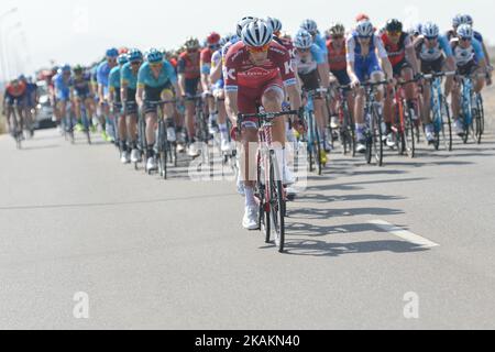 Des cavaliers de l'équipe KATUSHA ALPECIN ont conduit le peloton pendant la phase d'ouverture, a 176,5km de la plage d'Al Sawadi au parc Naseem de la visite à vélo 2017 d'Oman. Mardi, 14 février 2017, à Muscat, Oman. Photo par Artur Widak *** Veuillez utiliser le crédit du champ de crédit *** Banque D'Images