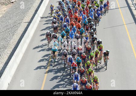 Un peloton de cavaliers pendant la phase d'ouverture, à 176,5km de la plage d'Al Sawadi au parc de Naseem de la visite à vélo 2017 d'Oman. Le mardi 14 février 2017, à Muscat, Oman. Photo par Artur Widak *** Veuillez utiliser le crédit du champ de crédit *** Banque D'Images