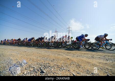 Un peloton de cavaliers pendant la phase d'ouverture, à 176,5km de la plage d'Al Sawadi au parc de Naseem de la visite à vélo 2017 d'Oman. Le mardi 14 février 2017, à Muscat, Oman. Photo par Artur Widak *** Veuillez utiliser le crédit du champ de crédit *** Banque D'Images