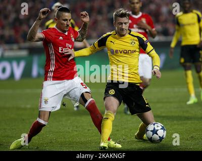 Ljubomir Fejsa (L), le milieu de terrain de Benfica, rivalise avec Marco Reus (R), le milieu de terrain de Dortmund, lors du match de la Ligue des champions 2016/17 entre SL Benfica et BVB Borussia Dortmund, à Lisbonne, sur 14 février 2017. (Photo de Carlos Palma/NurPhoto) *** Veuillez utiliser le crédit du champ de crédit *** Banque D'Images