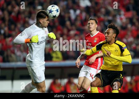 Le gardien de but de Benfica, Ederson Moraes, est en train de vier avec le joueur de Dortmund, Pierre-Emerick Aubaveyang (R), lors du tour de la Ligue des champions de l'UEFA de 16 matchs de football de première jambe, SL Benfica vs Borussia Dortmund, au stade Luz à Lisbonne, Portugal, sur 14 février 2017. (Photo par Pedro FiÃƒÂºza/NurPhoto) *** Veuillez utiliser le crédit du champ de crédit *** Banque D'Images