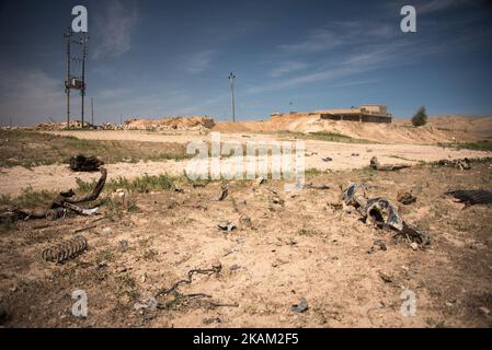 De jeunes soldats avec des milices kurdes comme les unités de résistance Sinjar (YBS) et les unités de protection du peuple (YPG) détiennent la ligne de front contre l'EI dans un village au sud de la montagne Sinjar. Photo prise 5 avril 2016 à Majnuniyah, Irak. (Photo de Diego Cupolo/NurPhoto) *** Veuillez utiliser le crédit du champ de crédit *** Banque D'Images