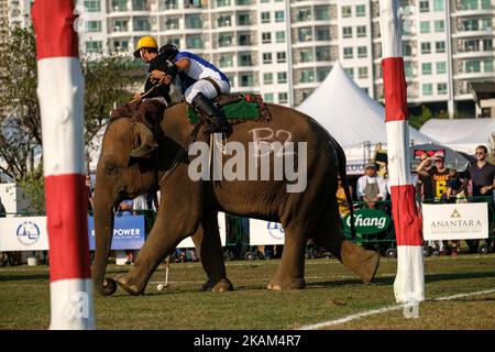 Un joueur de polo roule à dos d'éléphant pendant le tournoi de polo de la coupe du Roi 2017 à l'Anantara Chaopraya Resort à Bangkok, en Thaïlande, sur 12 mars 2017. Le Polo King's Cup Elephant est l'un des plus grands événements caritatifs annuels de Thaïlande. Depuis le premier tournoi, qui a eu lieu à l'origine dans la ville balnéaire de Hua Hin, 50 éléphants de rue ont été sauvés. L'événement annuel permet à 20 jeunes éléphants d'être retirés des rues pour la durée du tournoi, leur fournissant la meilleure nourriture possible, ainsi que le seul contrôle vétérinaire approprié qu'ils reçoivent toute l'année.les éléphants sont un Banque D'Images