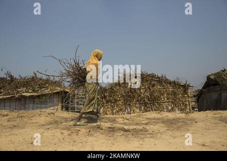 Une femme de Rohingya retourne à sa maison de fortune après avoir collecté du bois de chauffage. Environ 70 000 000 musulmans Rohingya ont fui le Myanmar vers le Bangladesh depuis le 9 octobre 2016, après que l'armée birmane ait lancé des opérations de déminage. Le Bureau des droits de l'homme de l'ONU a déclaré dans son rapport que les forces de sécurité du Myanmar ont commis des massacres, des tortures et des viols collectifs de Rohingyas, ainsi que des brushes dans leurs villages. Rohingyas a commencé à fuir l'oppression militaire, d'abord en 1978, puis de nouveau en 1991-92, dans les principaux afflux de quelque 500 000 000 personnes. Actuellement, environ 32 000 000 réfugiés enregistrés restent dans l'U Banque D'Images