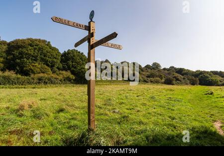 Détail d'un panneau d'affichage en bois ou d'un marqueur de voies dans Reeds Field sur Torrington Commons avec chemin de pied et détail de la colline Banque D'Images