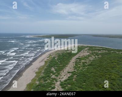Les vagues de l'océan touchant la côte avec la vue sur le champ vert, Playa El Espino, Usulutan, El Salvador, aérienne Banque D'Images