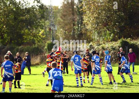 Carmarthen Quins Juniors 30 septembre 2022 Banque D'Images