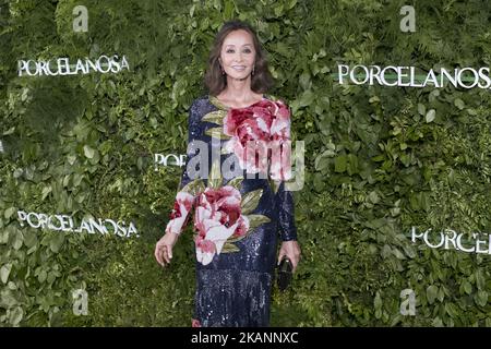 Isabel Preysler assiste à l'inauguration d'un nouveau magasin PORCELANOSA à Madrid. Espagne 14 juin 2017 (photo d'Oscar Gonzalez/NurPhoto) *** Veuillez utiliser le crédit du champ de crédit *** Banque D'Images