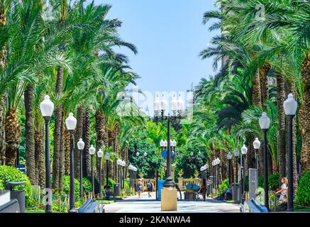 Avenue Gadea, boulevard piétonnier ou passerelle bordée de palmiers Banque D'Images