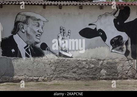 La fresque représentant le président américain Donald Trump est vue sur un mur dans le cadre du festival mural dans le village de Staro Zhelezare, Bulgarie, mercredi 26 juillet 2017. Les peintures murales extérieures sur les murs des maisons du village de Staro Zhelezare présentent des gens locaux ainsi que des figures bien connues des mondes de la politique et de la religion. (Photo de Valentina Petrova/NurPhoto) *** Veuillez utiliser le crédit du champ de crédit *** Banque D'Images