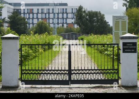 Vue sur la porte du cimetière des soldats de l'Armée rouge de Wroclaw tués ou morts pendant le siège de Wroclaw en 1945. Il y a environ 7 500 soldats russes enterrés ici. Vendredi, 27 juillet 2017, à Wroclaw, Pologne. (Photo par Artur Widak/NurPhoto) *** Veuillez utiliser le crédit du champ de crédit *** Banque D'Images