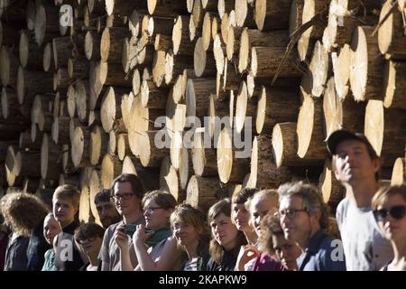 Des membres de l'organisation du camp pour la forêt se tiennent près du site d'exploitation forestière illégale et protestent à Bialowieza, en Pologne, sur 15 août 2017. (Photo de Maciej Luczniewski/NurPhoto) Banque D'Images