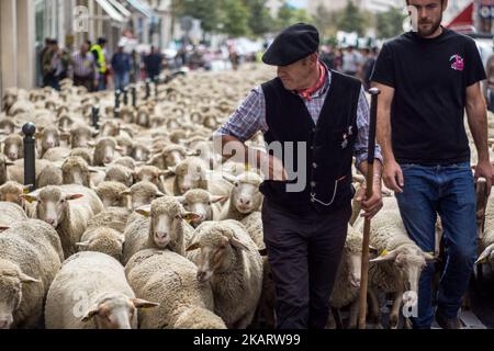 Les éleveurs français manifestent avec leurs animaux à Lyon, en France, sur 9 octobre 2017 pour attirer l'attention sur les attaques croissantes de loups contre les troupeaux de moutons et contre le « plan des loups » du ministère de l'Agriculture en 2018-2023. Le ministère français de l'Agriculture a dit vouloir arrêter les attaques, mais il n'a pas dit comment. Son nouveau « plan des loups » devrait être négocié et mis en place à partir du début de 2018. (Photo de Nicolas Liponne/NurPhoto) Banque D'Images