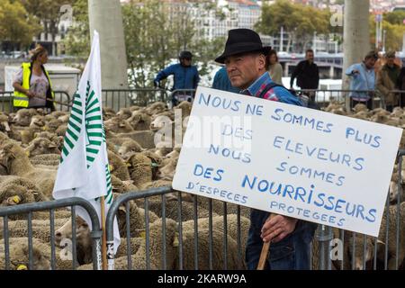 Les éleveurs français manifestent avec leurs animaux à Lyon, en France, sur 9 octobre 2017 pour attirer l'attention sur les attaques croissantes de loups contre les troupeaux de moutons et contre le « plan des loups » du ministère de l'Agriculture en 2018-2023. Le ministère français de l'Agriculture a dit vouloir arrêter les attaques, mais il n'a pas dit comment. Son nouveau « plan des loups » devrait être négocié et mis en place à partir du début de 2018. (Photo de Nicolas Liponne/NurPhoto) Banque D'Images