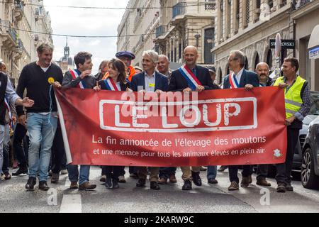 Les éleveurs français manifestent avec leurs animaux à Lyon, en France, sur 9 octobre 2017 pour attirer l'attention sur les attaques croissantes de loups contre les troupeaux de moutons et contre le « plan des loups » du ministère de l'Agriculture en 2018-2023. Le ministère français de l'Agriculture a dit vouloir arrêter les attaques, mais il n'a pas dit comment. Son nouveau « plan des loups » devrait être négocié et mis en place à partir du début de 2018. (Photo de Nicolas Liponne/NurPhoto) Banque D'Images