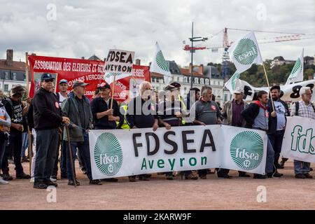 Les éleveurs français manifestent avec leurs animaux à Lyon, en France, sur 9 octobre 2017 pour attirer l'attention sur les attaques croissantes de loups contre les troupeaux de moutons et contre le « plan des loups » du ministère de l'Agriculture en 2018-2023. Le ministère français de l'Agriculture a dit vouloir arrêter les attaques, mais il n'a pas dit comment. Son nouveau « plan des loups » devrait être négocié et mis en place à partir du début de 2018. (Photo de Nicolas Liponne/NurPhoto) Banque D'Images