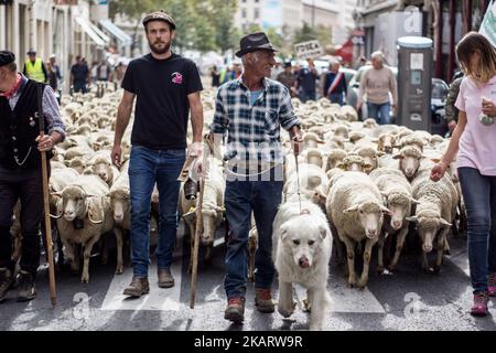 Les éleveurs français manifestent avec leurs animaux à Lyon, en France, sur 9 octobre 2017 pour attirer l'attention sur les attaques croissantes de loups contre les troupeaux de moutons et contre le « plan des loups » du ministère de l'Agriculture en 2018-2023. Le ministère français de l'Agriculture a dit vouloir arrêter les attaques, mais il n'a pas dit comment. Son nouveau « plan des loups » devrait être négocié et mis en place à partir du début de 2018. (Photo de Nicolas Liponne/NurPhoto) Banque D'Images