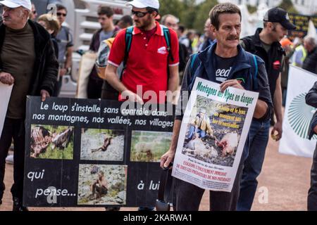Les éleveurs français manifestent avec leurs animaux à Lyon, en France, sur 9 octobre 2017 pour attirer l'attention sur les attaques croissantes de loups contre les troupeaux de moutons et contre le « plan des loups » du ministère de l'Agriculture en 2018-2023. Le ministère français de l'Agriculture a dit vouloir arrêter les attaques, mais il n'a pas dit comment. Son nouveau « plan des loups » devrait être négocié et mis en place à partir du début de 2018. (Photo de Nicolas Liponne/NurPhoto) Banque D'Images