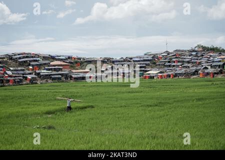 Les réfugiés de Rohingya vivent au camp de Moiner Ghona le 17 octobre 2017. Le camp de Moiner Ghona est un camp de réfugiés de Rohingya près de la frontière terrestre du Bangladesh et du Myanmar. De plus en plus, Rohingya continue de traverser la frontière bangladaise par terre et par mer, et près d'un million d'entre eux ont fui les persécutions du Myanmar jusqu'à présent. (Photo par Jade Sacker/NurPhoto) Banque D'Images