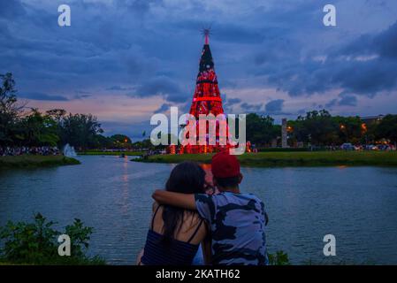 Les familles apprécient l'arbre de Noël dans le parc Ibirapuera à Sao Paulo, Brésil, le 28 novembre 2018. Une attraction touristique à la fin de l'année à São Paulo, l'arbre de Noël se trouve à l'intérieur du parc Ibirapuera. Symbole traditionnel de la saison de Noël dans la ville, l'arbre de 40 mètres de haut et 15 mètres de large est disponible pour la visite publique de 25 novembre à 6 janvier, de 5am à minuit. (Photo de Cris Faga/NurPhoto) Banque D'Images