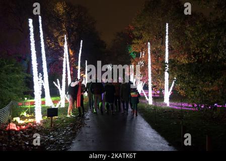 Des œuvres d'art illuminent les jardins de Kew pour l'exposition « Christmas at Kew », Londres on 3 décembre 2017. L'exposition se compose d'un sentier long d'un kilomètre qui mène les visiteurs devant des arbres chanteurs, un jardin d'incendie, des projections kaléidoscopiques et des lumières géantes inspirées de la flore. (Photo par Alberto Pezzali/NurPhoto) Banque D'Images