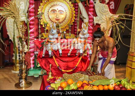 Le prêtre hindou tamoul organise des offrandes spéciales pour le Dieu du Soleil lors du festival pongal thaïlandais dans un temple hindou tamoul en Ontario, au Canada, sur 14 janvier 2018. Le festival tamoul de Thai Pongal est un festival d'action de grâce qui honore le Dieu Soleil (Lord Surya) et célèbre une récolte réussie. (Photo de Creative Touch Imaging Ltd./NurPhoto) Banque D'Images