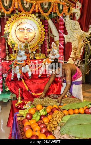 Le prêtre hindou tamoul organise des offrandes spéciales pour le Dieu du Soleil lors du festival pongal thaïlandais dans un temple hindou tamoul en Ontario, au Canada, sur 14 janvier 2018. Le festival tamoul de Thai Pongal est un festival d'action de grâce qui honore le Dieu Soleil (Lord Surya) et célèbre une récolte réussie. (Photo de Creative Touch Imaging Ltd./NurPhoto) Banque D'Images