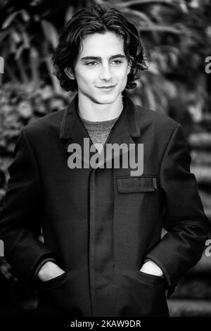 L'acteur Timothée Chalamet assiste à la photocall 'Chiamami Col Tuo Nome (appelez-moi par votre nom)' à l'hôtel de Russie sur 24 janvier 2018 à Rome, Italie. (Photo par Luca Carlino/NurPhoto) Banque D'Images