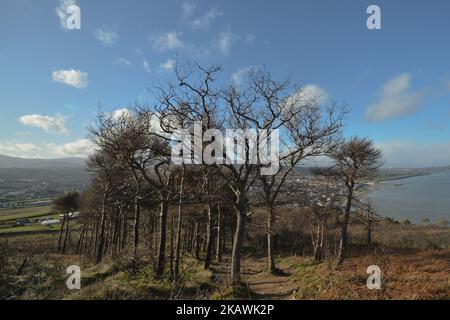 Chemin d'accès à Bray Head. Jeudi, 15 février 2018, Dublin, Irlande. (Photo par Artur Widak/NurPhoto) Banque D'Images