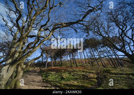 Chemin d'accès à Bray Head. Jeudi, 15 février 2018, Dublin, Irlande. (Photo par Artur Widak/NurPhoto) Banque D'Images