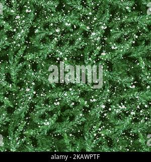 Motif aquarelle sans couture avec branches en sapin. Fond de noël vert. Banque D'Images