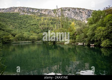 Belles falaises rocheuses et sommets de montagne, couvertes de forêt dense près de la ville d'omis, Croatie dans le canyon de la rivière Cetina Banque D'Images