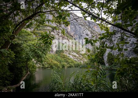 Belles falaises rocheuses et sommets de montagne, couvertes de forêt dense près de la ville d'omis, Croatie dans le canyon de la rivière Cetina Banque D'Images